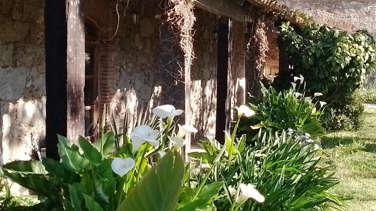 Casa Rural El Refugi Platja D'Aro 4 Romanya de la Selva ภายนอก รูปภาพ