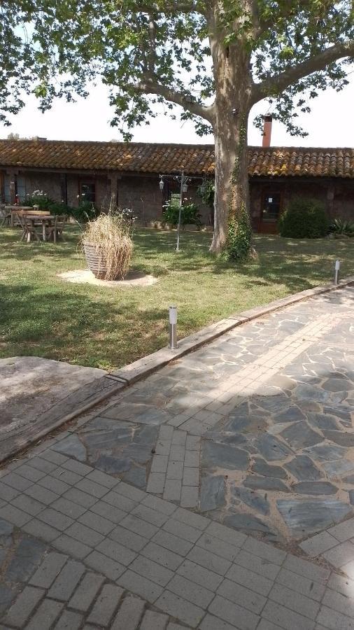 Casa Rural El Refugi Platja D'Aro 4 Romanya de la Selva ภายนอก รูปภาพ
